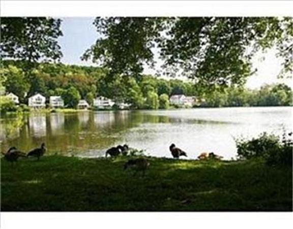 198 Lake Shore Road, Unit 1 Boston, MA 02135 - Photo 17 of 20 Gallery Image 17