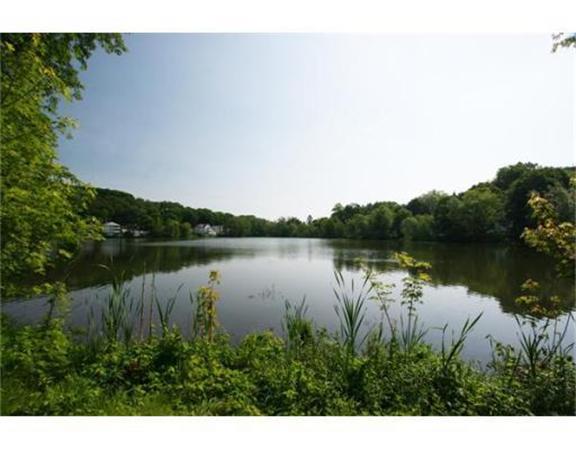 198 Lake Shore Road, Unit 1 Boston, MA 02135 - Photo 18 of 20 Gallery Image 18