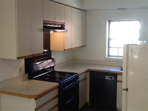 198 Lake Shore Road, Unit 1 Boston, MA 02135 - Photo 2 of 20 Gallery Image 2
