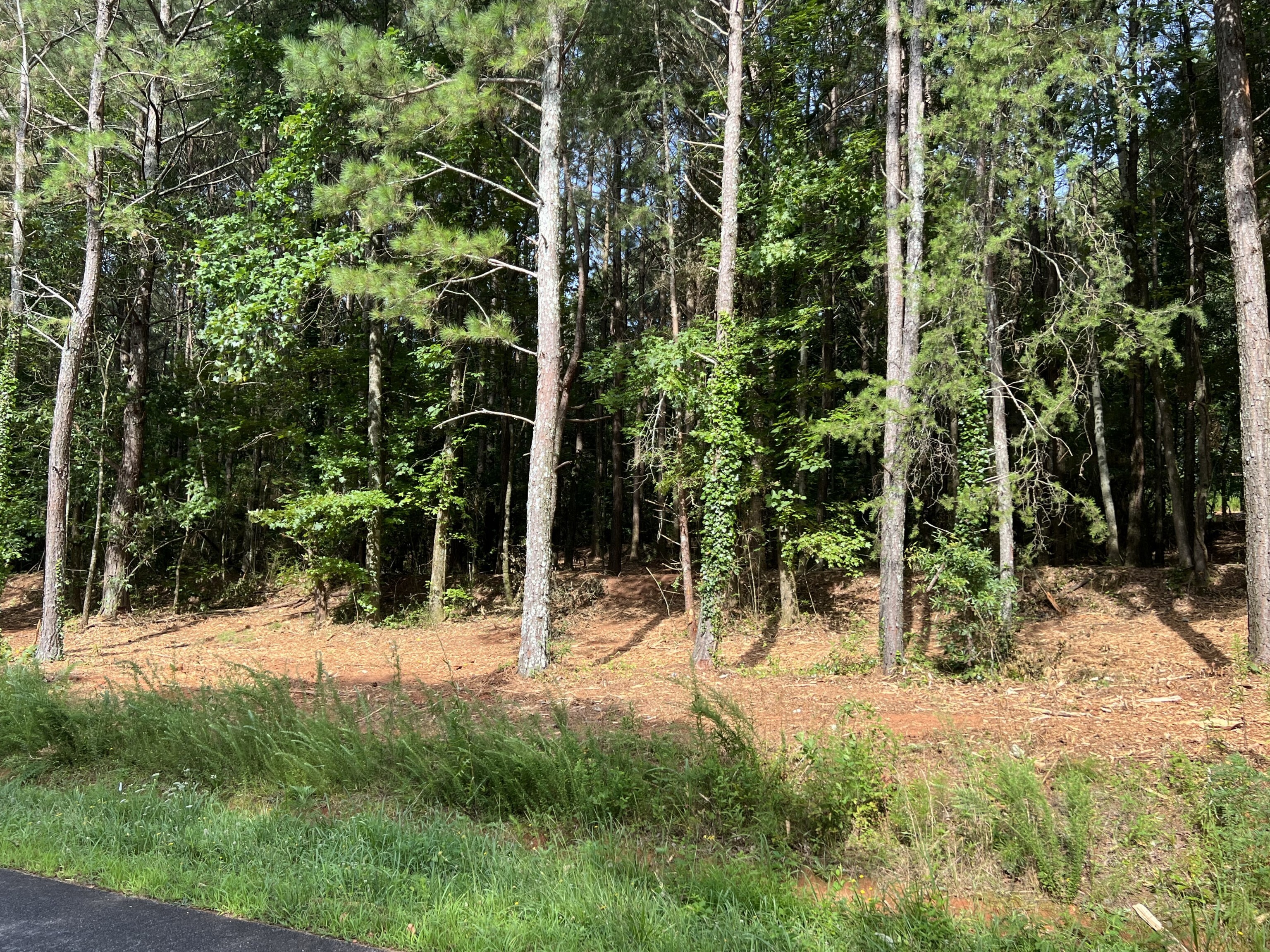 0 Damascus Road, Unit LOT 3 Gainesville, GA 30506 - Photo 1 of 1 a view of outdoor space and yard