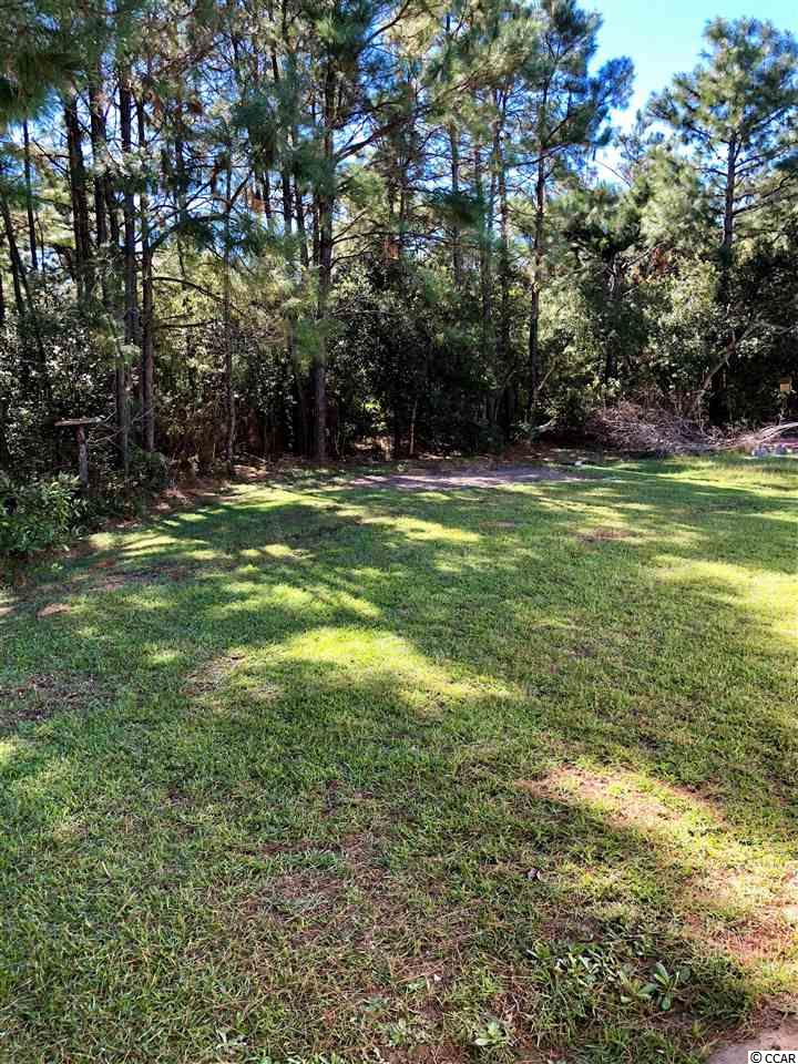 541 West Perry Road Myrtle Beach, SC 29579 - Photo 33 of 34 Gallery Image 33