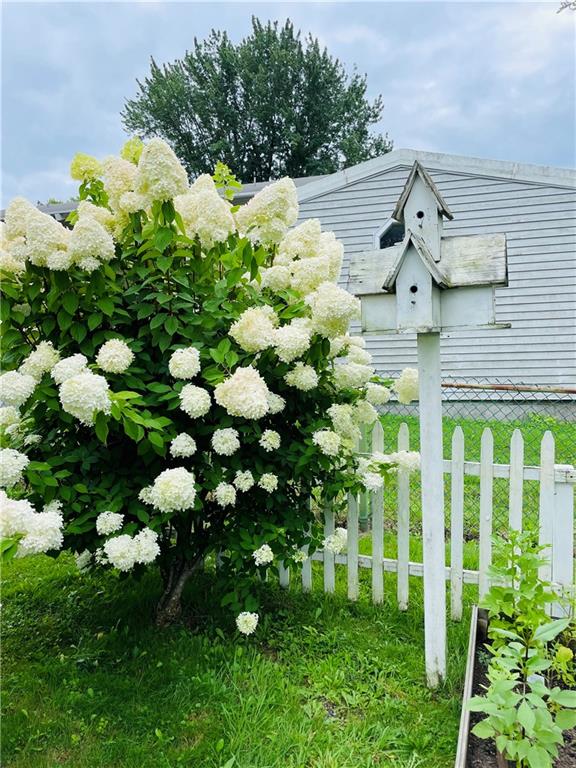 3956 New Castle Road Pulaski, PA 16143 - Photo 25 of 37 a bunch of flowers in a garden