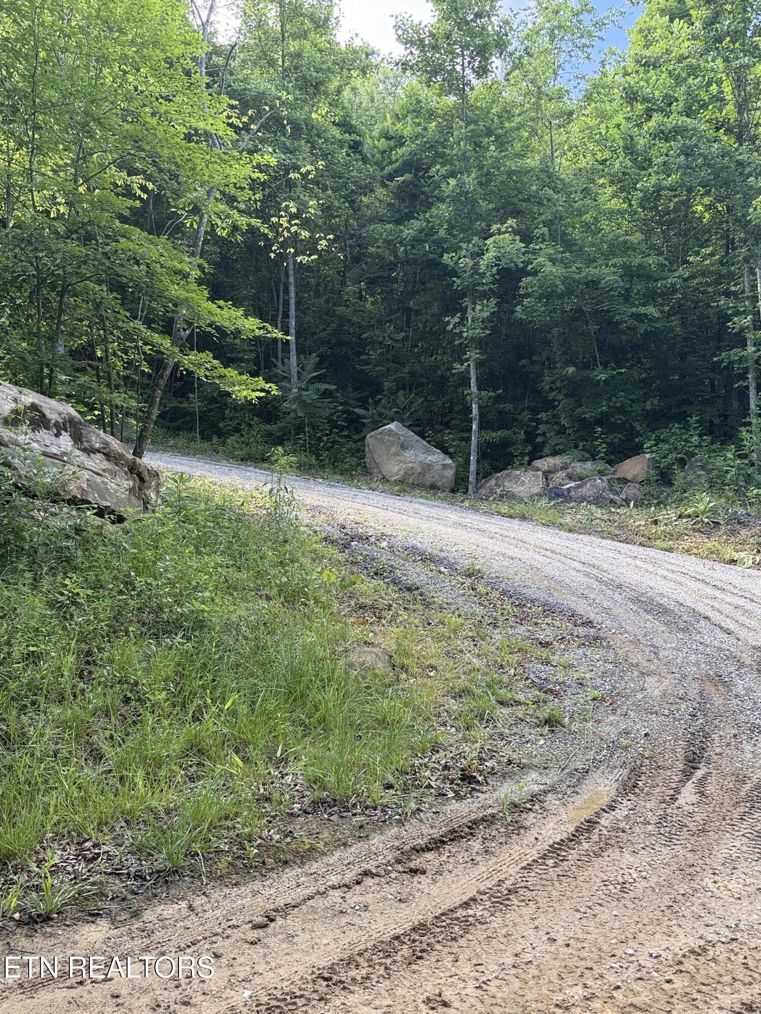 549 Defender Road La Follette, TN 37766 - Photo 37 of 42 Driveway