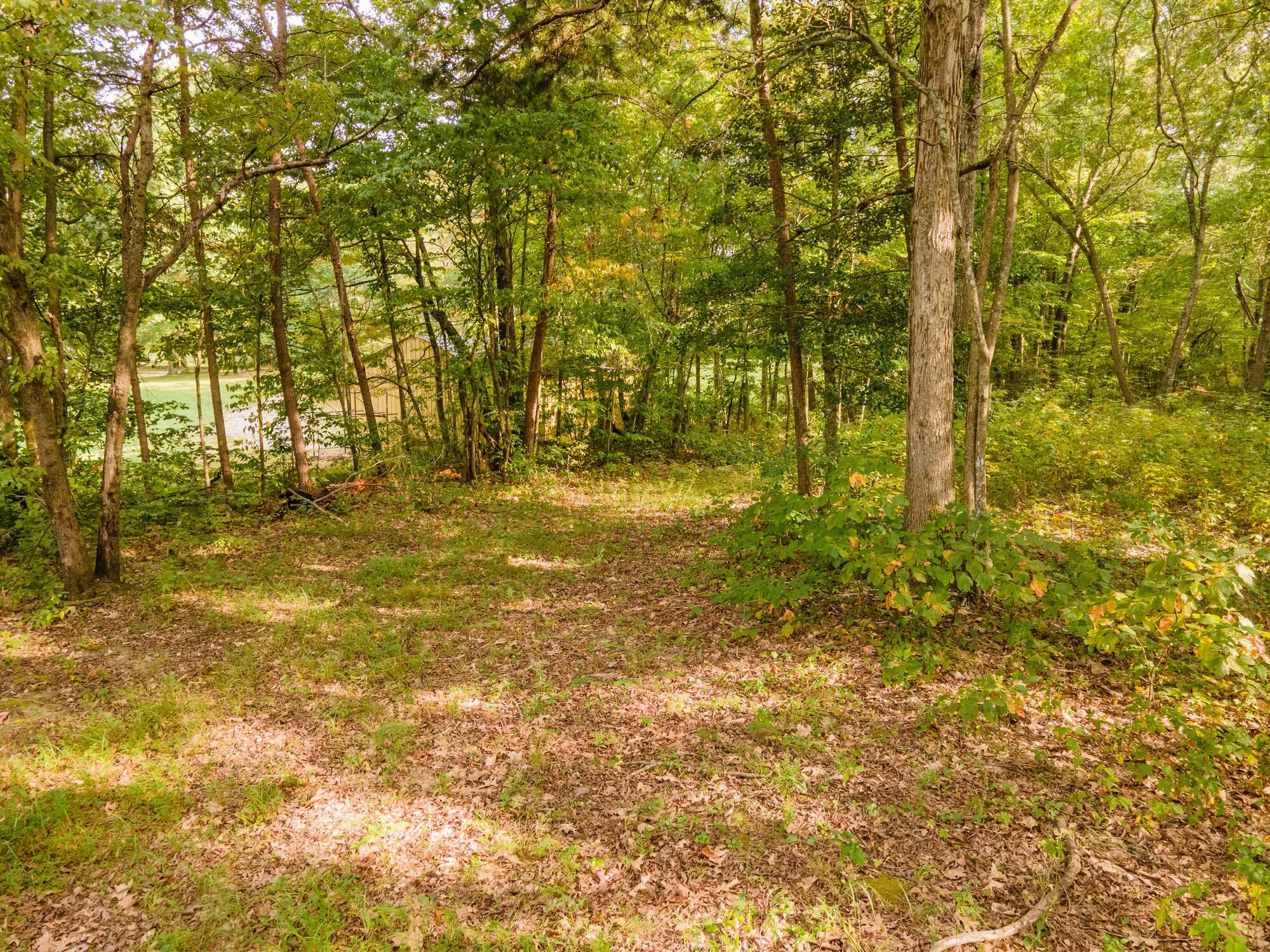 229 Flatwoods Frozen Camp Road Corbin, KY 40701 - Photo 20 of 46 35 - DJI_0677-HDR