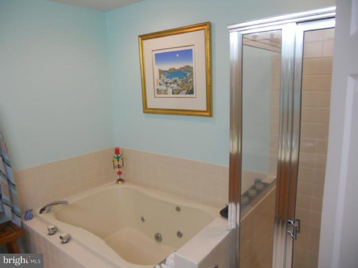 44 Main Street Wayne, PA 19087 - Photo 9 of 14 Master Bathroom