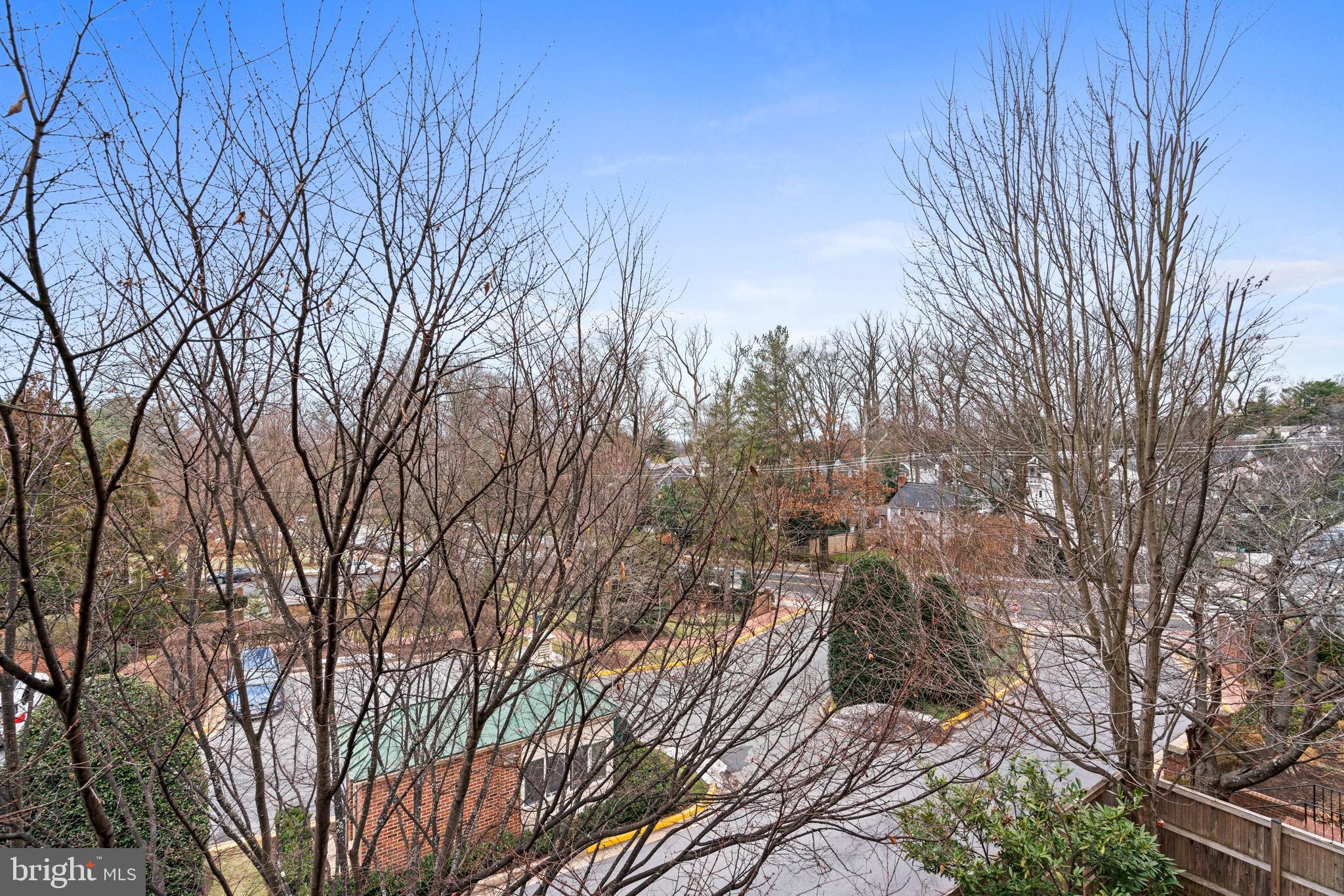 3297 Sutton Place Northwest, Unit B Washington, DC 20016 - Photo 26 of 43 a backyard of a house with lots of green space