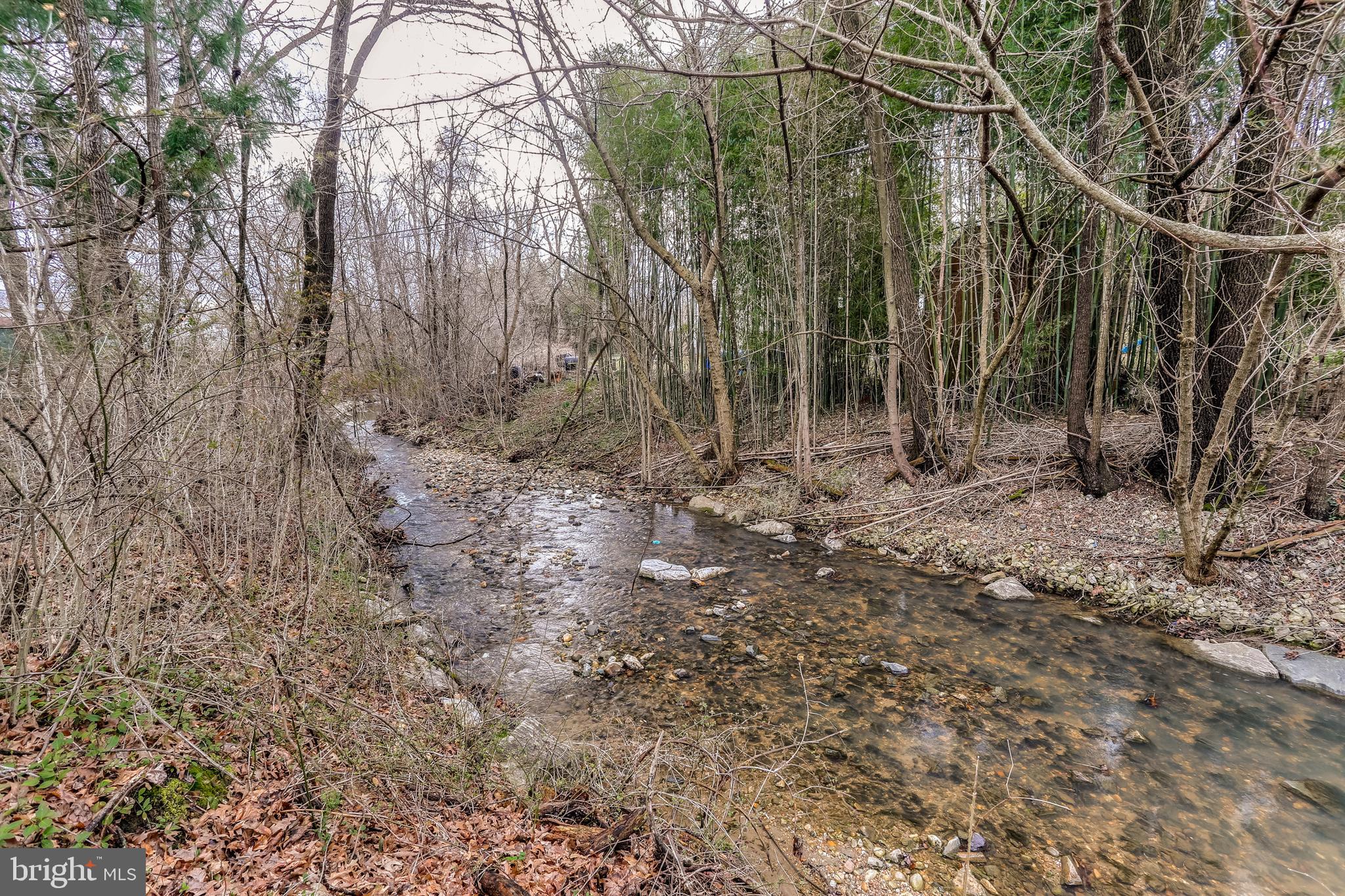 221 Coldbrook Road Lutherville-Timonium, MD 21093 - Photo 36 of 37 Beautiful & Peaceful Stream in Rear Yard.