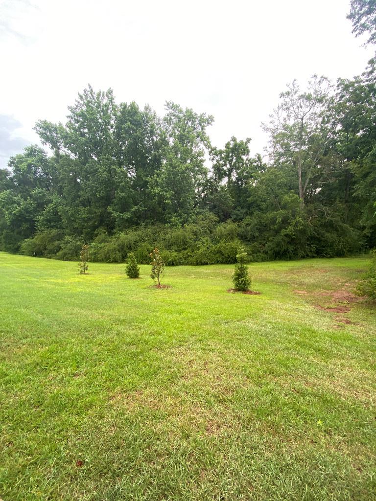 1051 Skipper Road Dothan, AL 36301 - Photo 39 of 43
