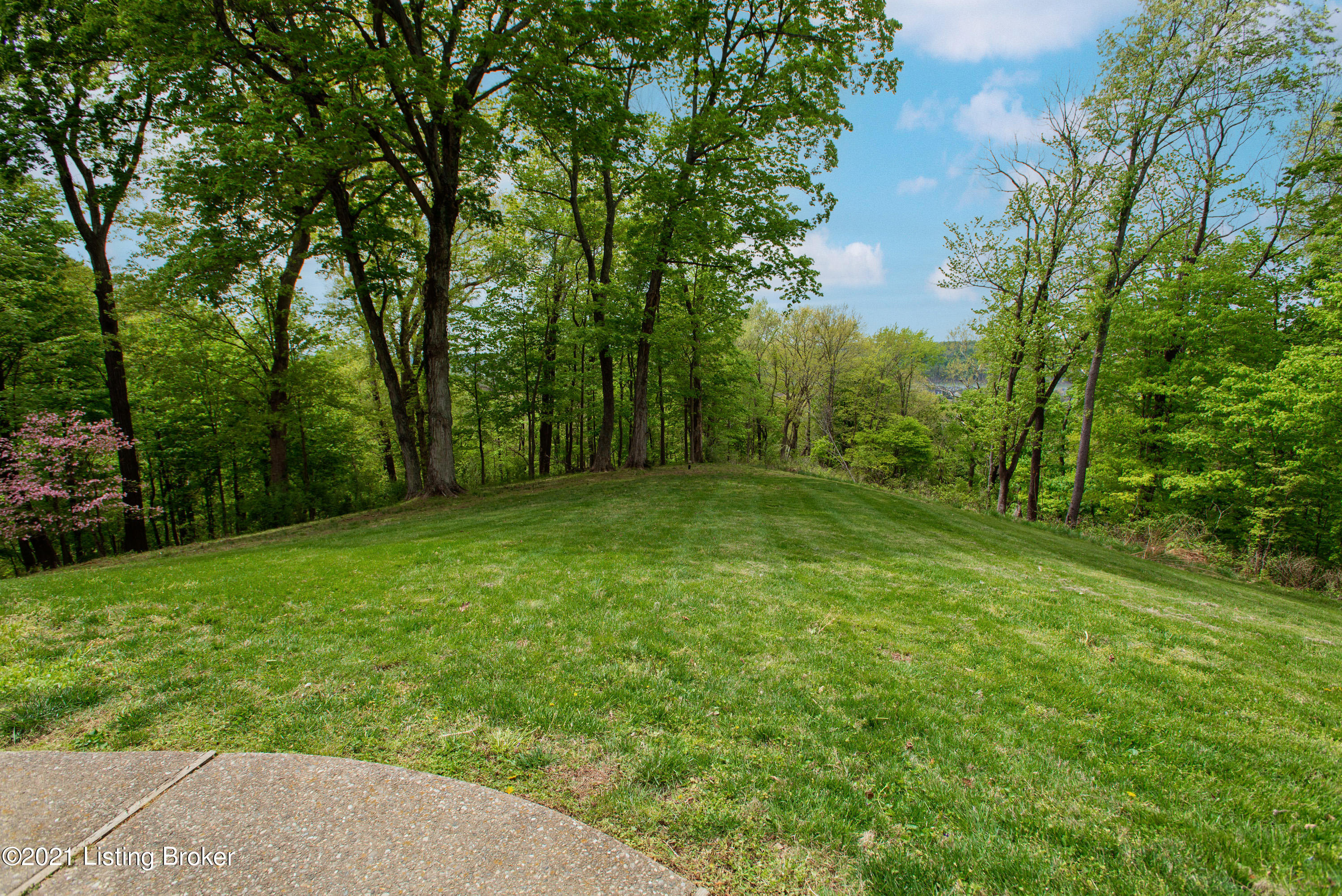 1306 Ridge Pointe Goshen, KY 40026 - Photo 16 of 111 Trees and more Trees!