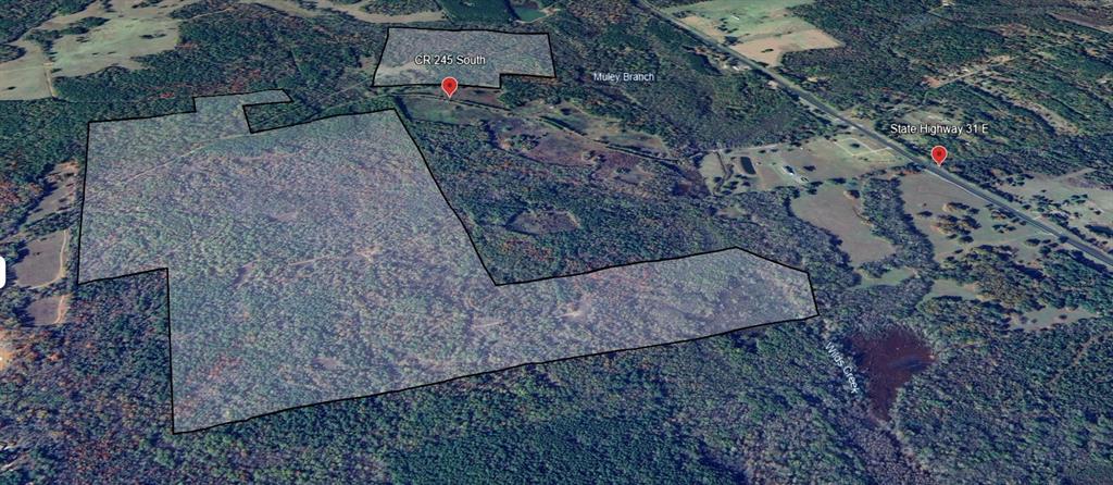 0 South C R 245 Street North Kilgore, TX 75662 - Photo 12 of 13 a view of a wooden floor