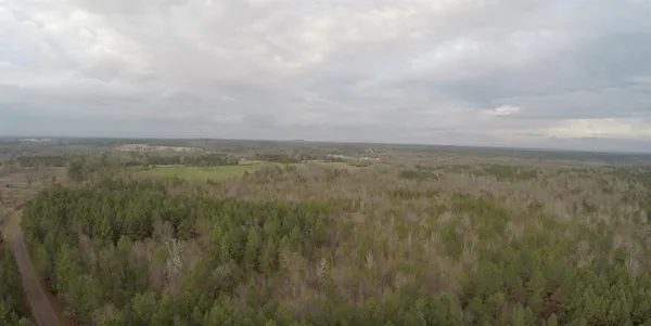 a view of a field of grass and trees