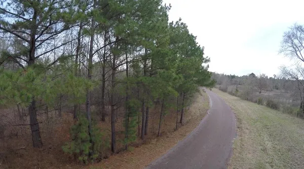 a view of a street with a trees