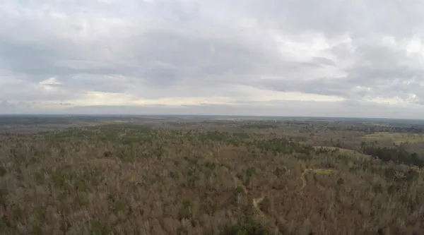 a view of a big yard with lots of bushes