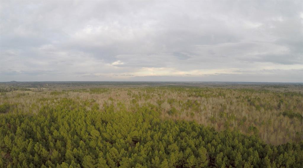 0 South C R 245 Street North Kilgore, TX 75662 - Photo 8 of 13 a view of an ocean