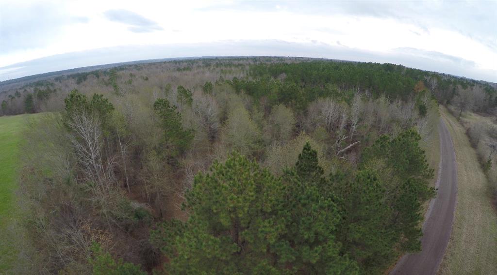 0 South C R 245 Street North Kilgore, TX 75662 - Photo 9 of 13 a view of a lush green forest with lush green forest