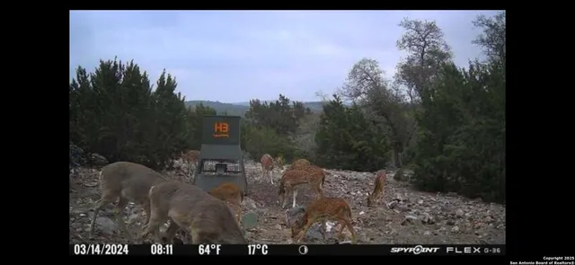 a view of a couches and a table under an umbrella