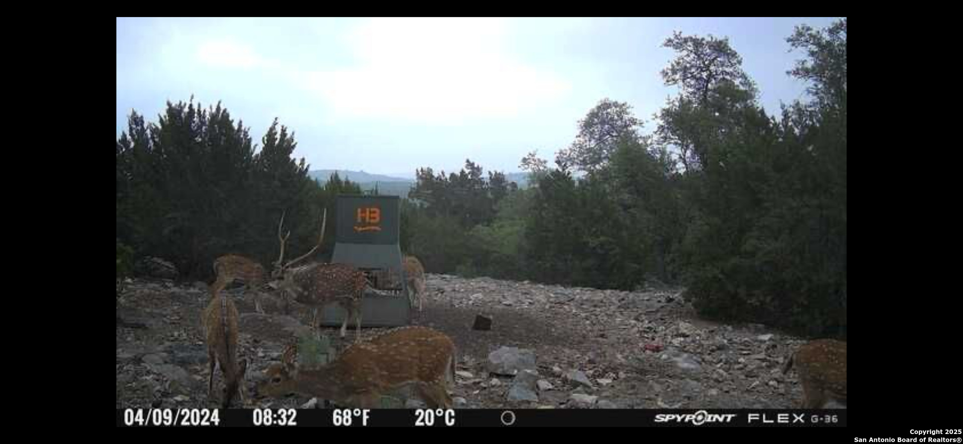 58 SD 43010 Rocksprings, TX 78880 - Photo 12 of 17