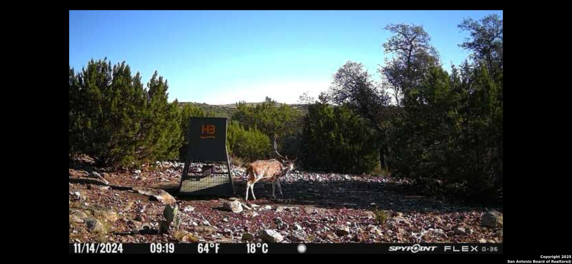 58 SD 43010 Rocksprings, TX 78880 - Photo 13 of 17 a view of a couches and a table under an umbrella