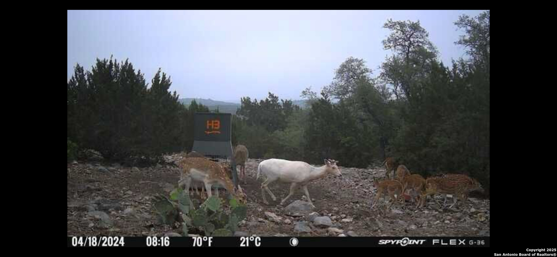 58 SD 43010 Rocksprings, TX 78880 - Photo 14 of 17 a view of a yard from a yard