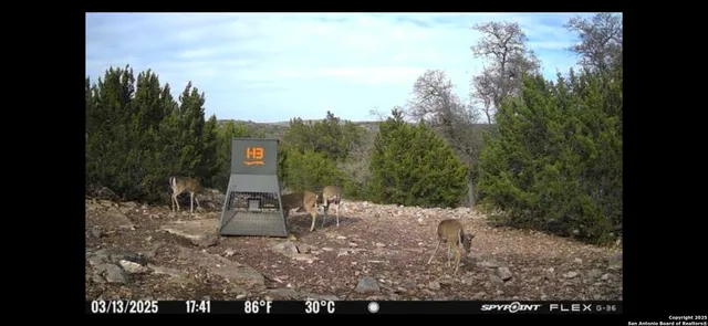 a front view of a house with lots of trees