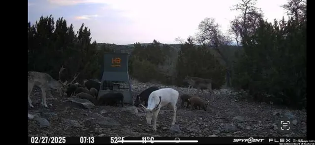 $120,000 | 58 SD 43010, Rocksprings, TX 78880