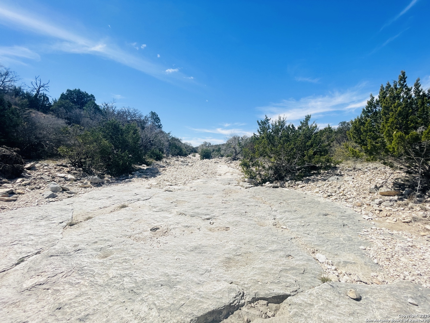 58 SD 43010 Rocksprings, TX 78880 - Photo 3 of 17 a view of a dry yard with trees in the background