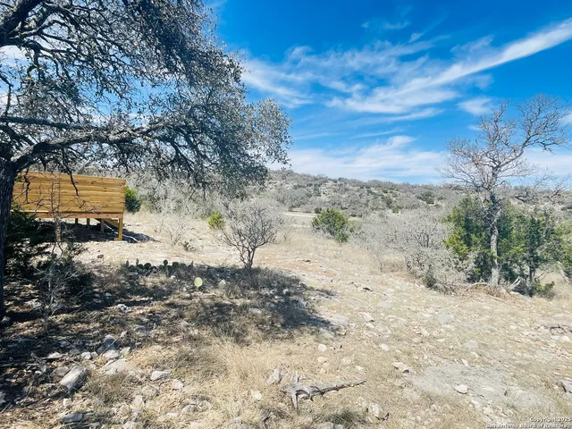 a view of a dry yard with trees and stairs