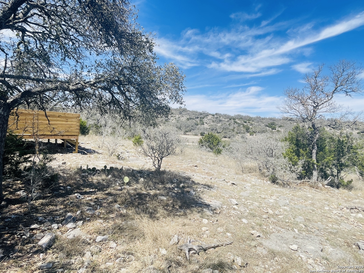 58 SD 43010 Rocksprings, TX 78880 - Photo 4 of 17 a view of a dry yard with trees and stairs