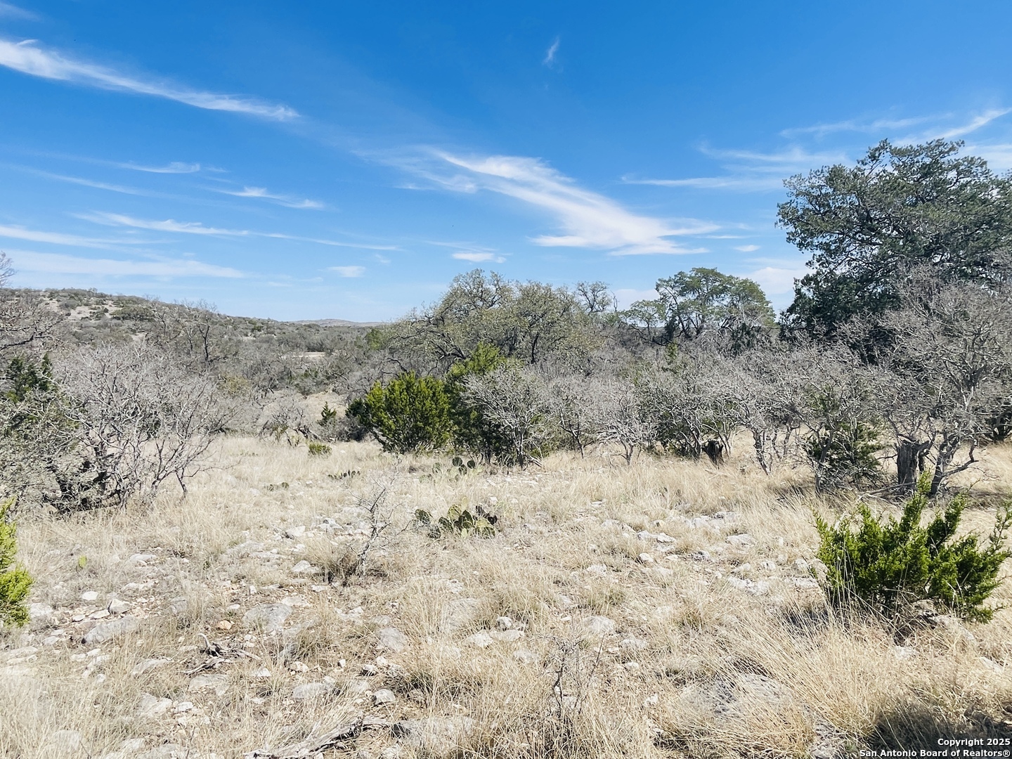 58 SD 43010 Rocksprings, TX 78880 - Photo 5 of 17 a view of a dry yard with wooden fence