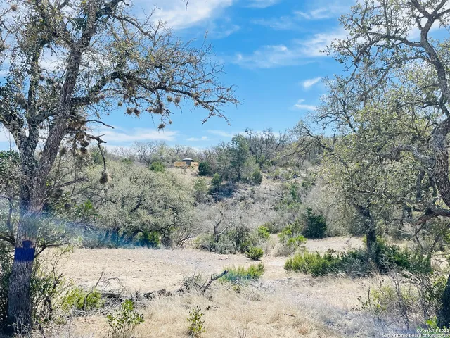 a view of a dry yard with wooden fence