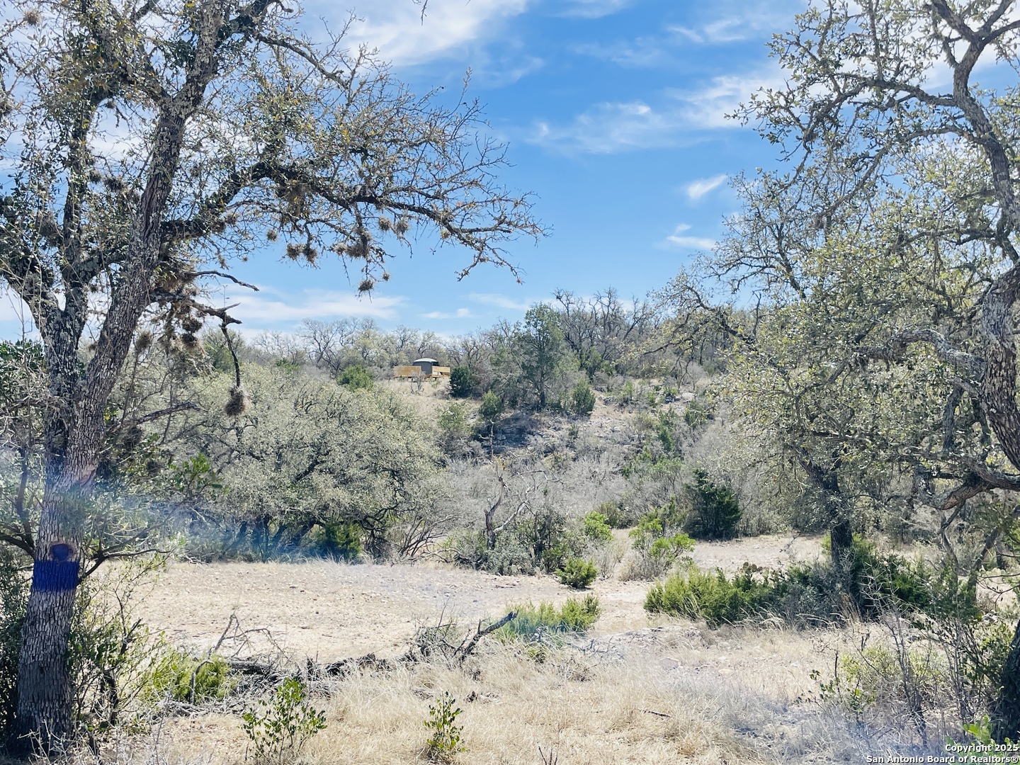 58 SD 43010 Rocksprings, TX 78880 - Photo 8 of 17 a view of a dry yard with trees