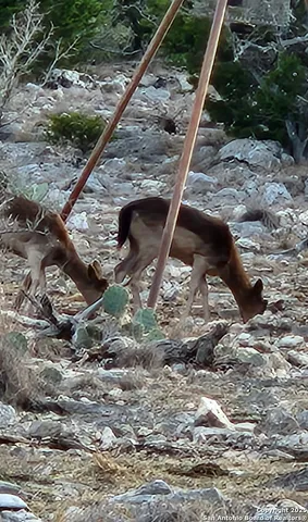 a view of city from balcony