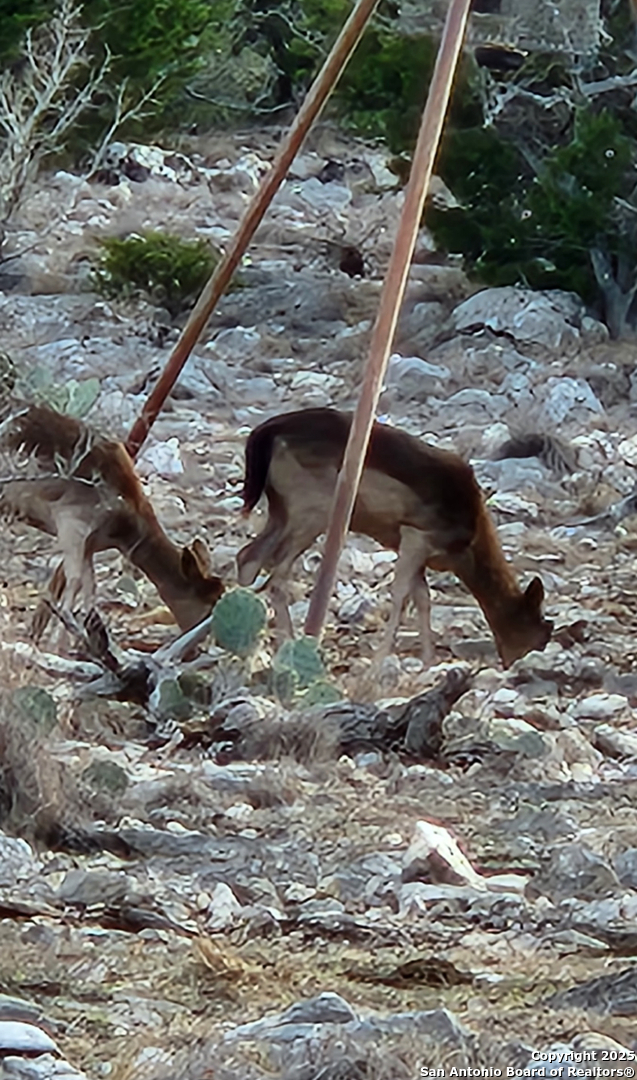 58 SD 43010 Rocksprings, TX 78880 - Photo 10 of 17 a view of roof deck