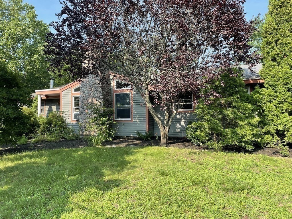7 Temi Road Beverly, MA 01915 - Photo 3 of 40 a backyard of a house with plants and large tree