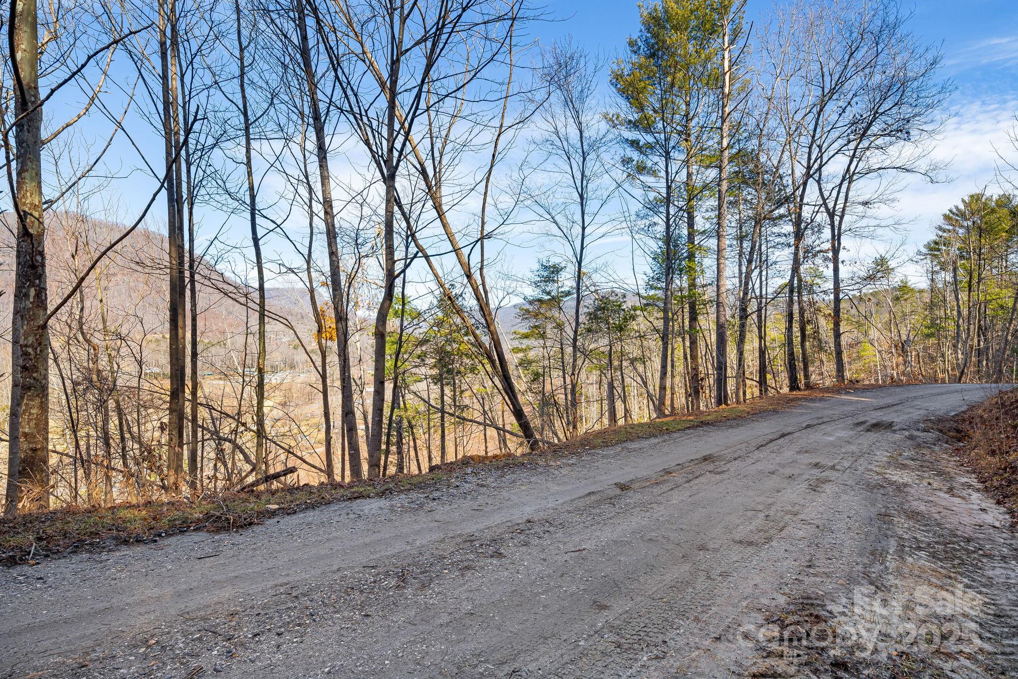 0 Fox Ridge Trail, Unit 15 & 18 Marion, NC 28752 - Photo 4 of 14
