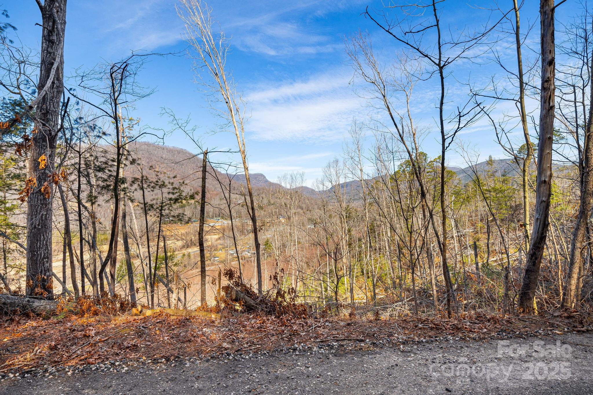 0 Fox Ridge Trail, Unit 15 & 18 Marion, NC 28752 - Photo 5 of 14