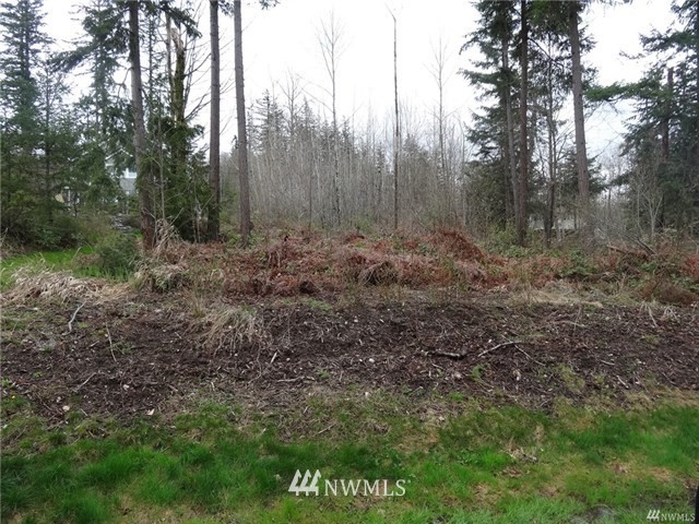 3000-block Toad Lake Road Bellingham, WA 98226 - Photo 1 of 1 Gallery Image 1