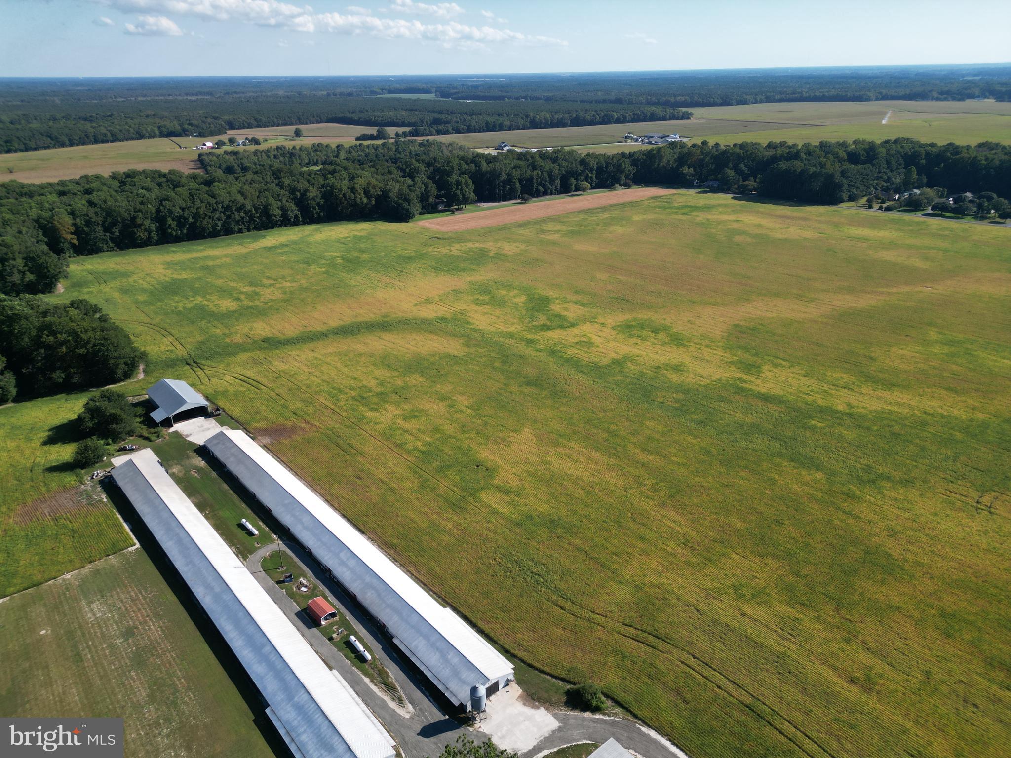 4070 Woodpecker Road Seaford, DE 19973 - Photo 5 of 14 a view of an outdoor space and city view