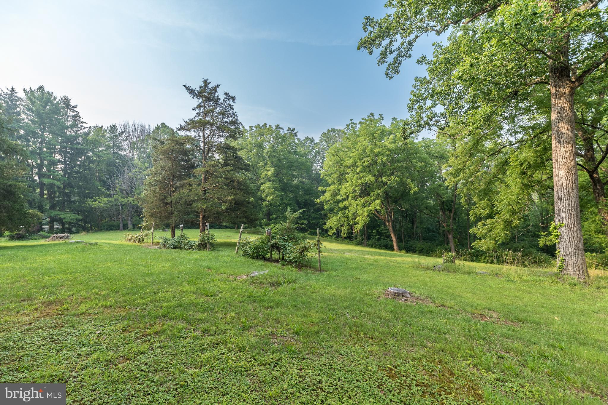 84 Dickert Road Quakertown, PA 18951 - Photo 26 of 28 Backyard