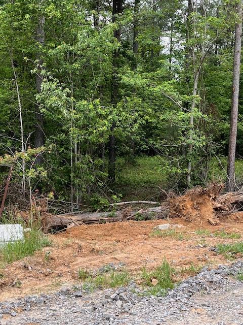 3715 Split Rail Way, Unit 1123 Guild, TN 37340 - Photo 23 of 41 IMG_9436