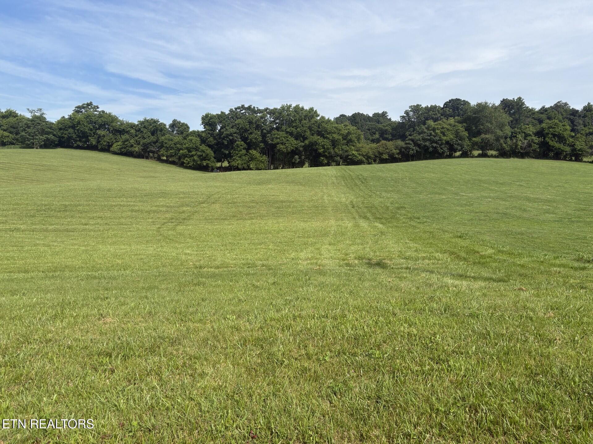 Holston River Drive Rutledge, TN 37861 - Photo 4 of 7 f2064c8e-dd76-4dcf-8a47-cabee9d3e20f