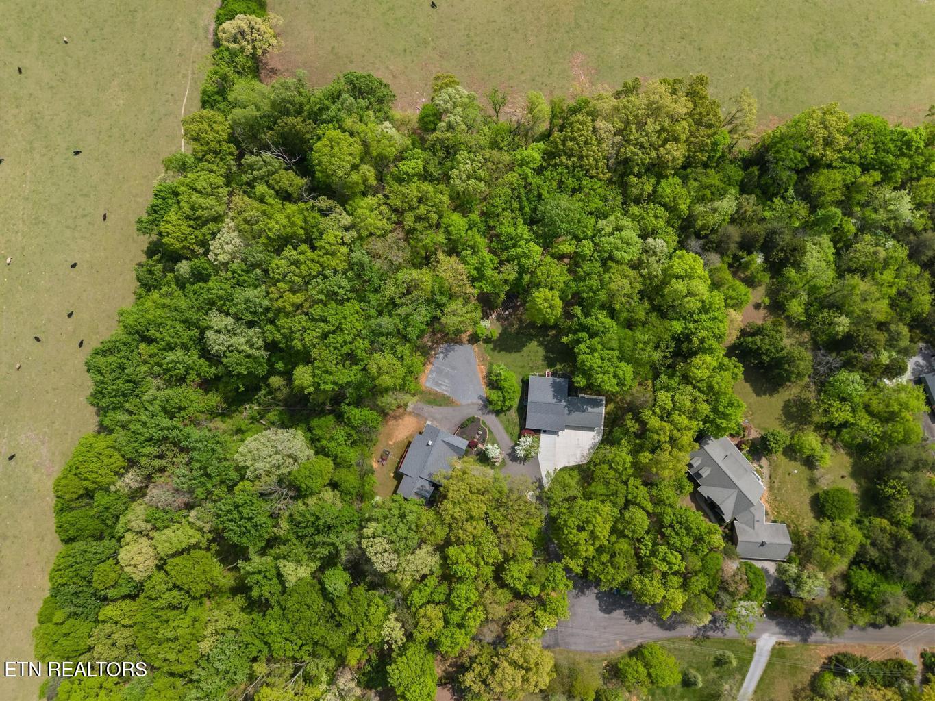 2180 Ranch Road Dandridge, TN 37725 - Photo 48 of 60 57