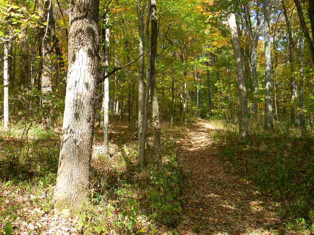 9278 West Ratliff Road Spencer, IN 47460 - Photo 30 of 36