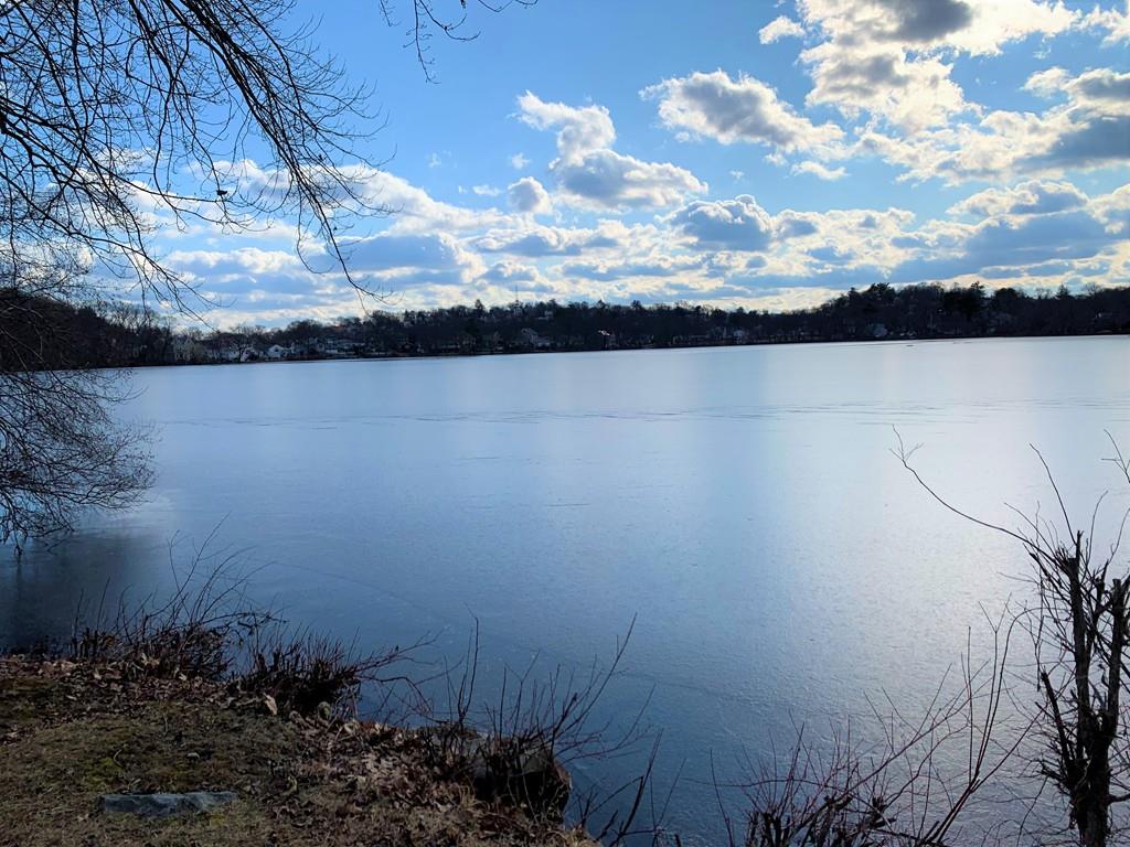94 Hardy Pond Road Waltham, MA 02451 - Photo 5 of 7 Gallery Image 5