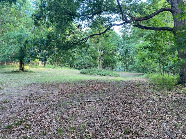 250 Hurt Road Hendersonville, TN 37075 - Photo 2 of 9 a view of a big yard with lots of green space