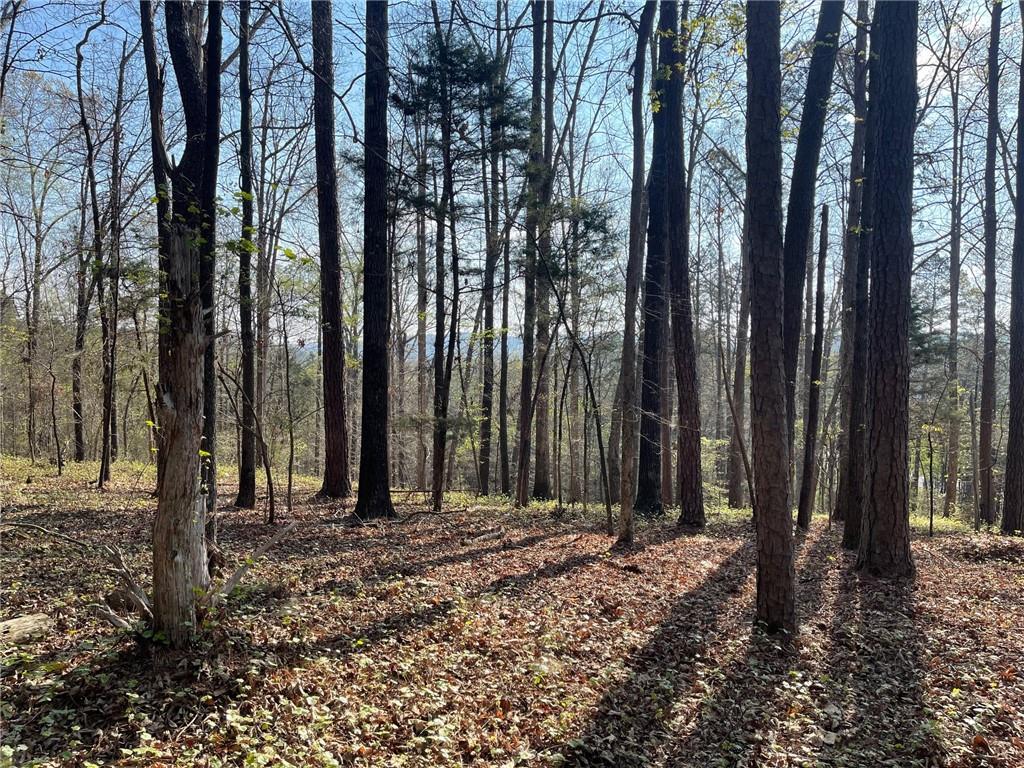 1 B Chalcrest Way Cave Spring, GA 30124 - Photo 1 of 52