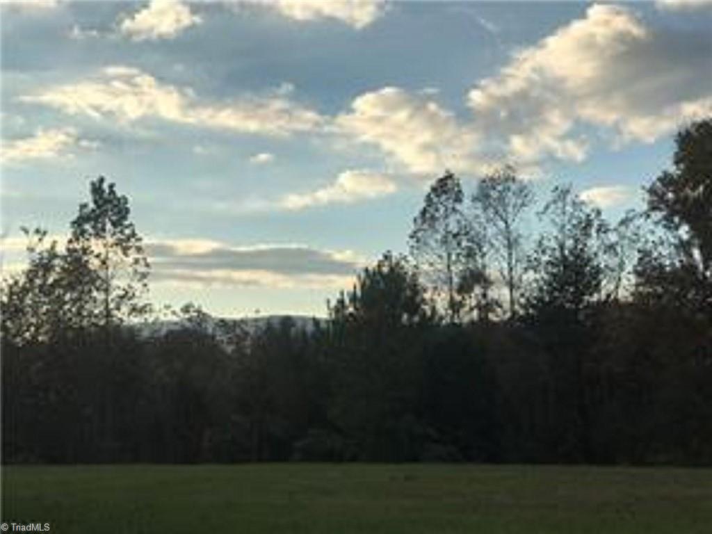 Lot A Flynt Road King, NC 27021 - Photo 1 of 7 Gallery Image 1