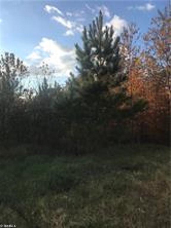 Lot A Flynt Road King, NC 27021 - Photo 4 of 7 Gallery Image 4