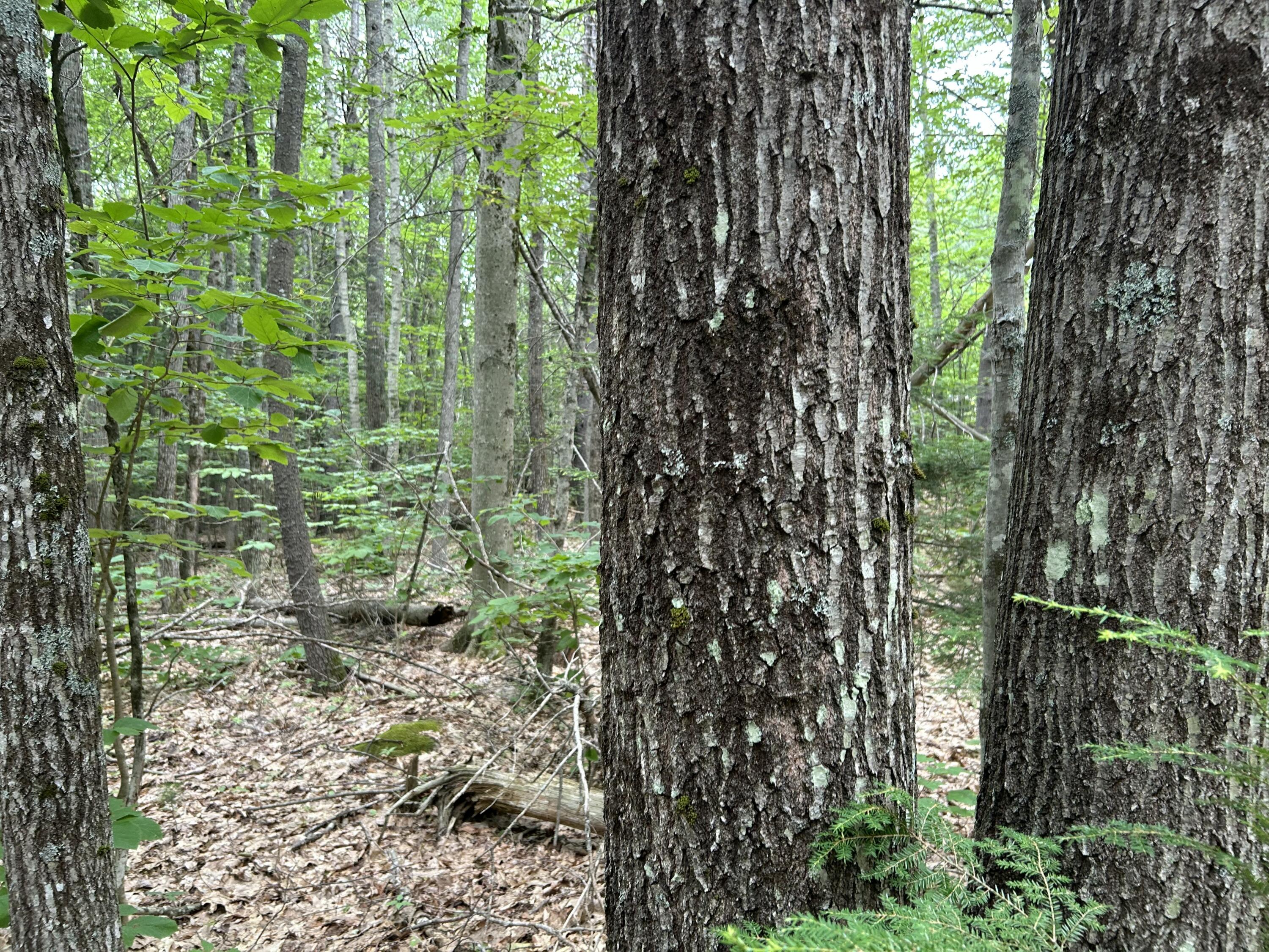 M7-l99h Bolton Hill Road Augusta, ME 04330 - Photo 10 of 30 25