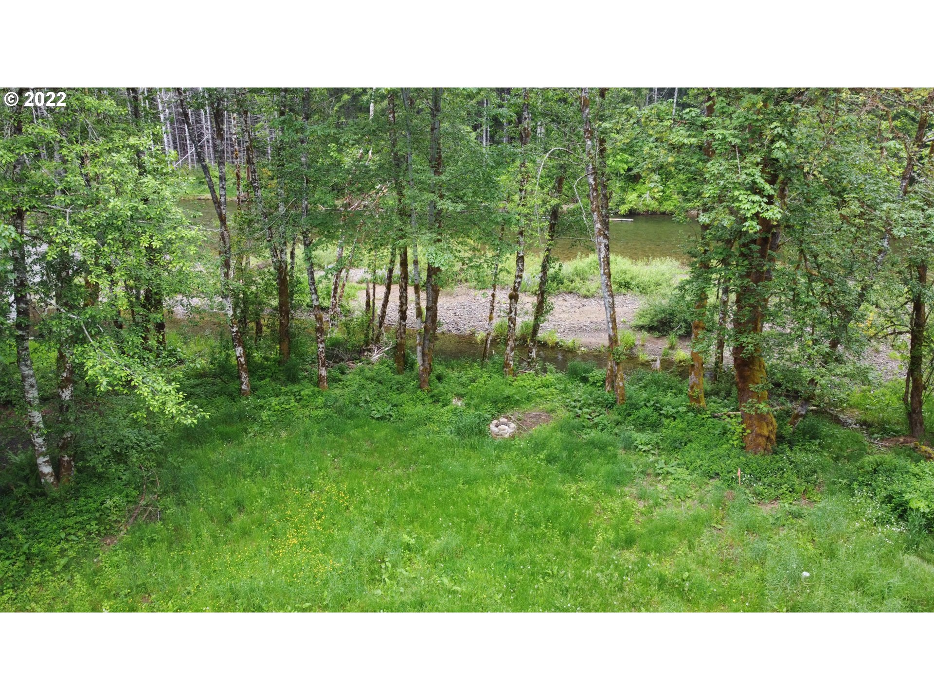 442 Cannavinna Road Carson, WA 98610 - Photo 15 of 22 Gallery Image 15